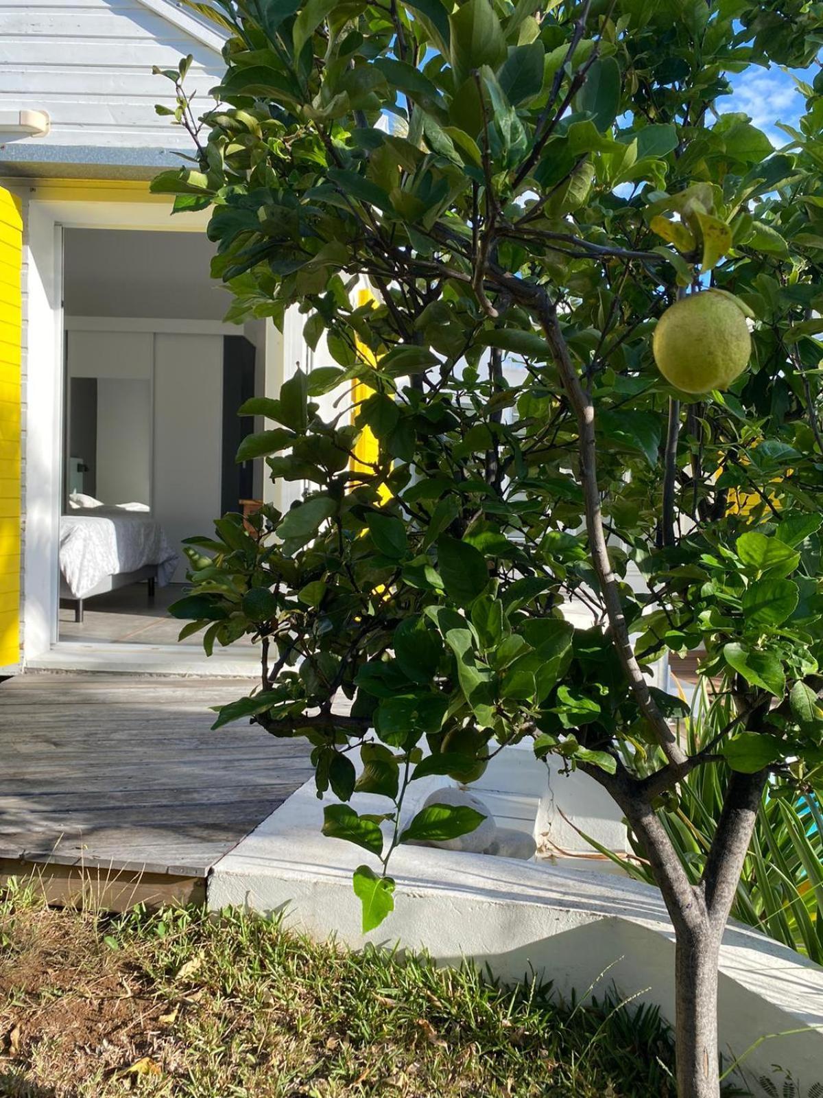 Villa Ylang Сен-Жиль-ле-Бэн Экстерьер фото